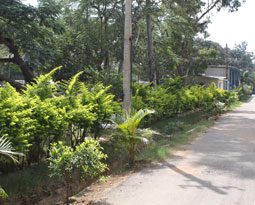 Css Template Preview