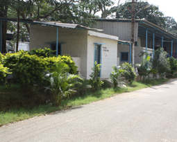 Css Template Preview